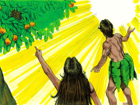 Adão respondeu: "Eu ouvi o Senhor no jardim, e eu estava com medo porque eu estava nu, então me escondi." Deus respondeu: "Quem disse a você que você estava nu? Você comeu da árvore que eu mandei que não comesse?" Adão respondeu: "A mulher que o Senhor pôs aqui comigo me deu a fruta da árvore, e eu a comi". – Slide número 8
