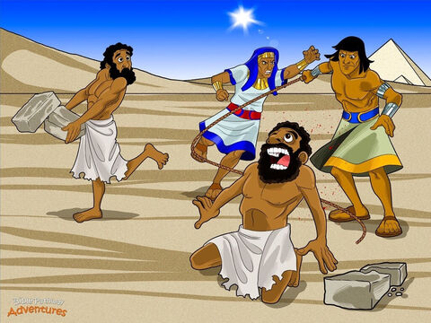 Um dia, quando Moisés já era um adulto, ele descobriu que era hebreu. <br/>Ele resolveu visitar sua verdadeira família, que vivia em uma parte do Egito chamada Gósen. Enquanto ele os assistia fazendo tijolos de lama, ele viu um egípcio batendo em um escravo hebreu.<br/>O coração de Moisés se encheu de raiva. “Como ousa bater nesse escravo!” gritou ele. Moisés matou o egípcio e enterrou seu corpo na areia. No próximo dia, Moisés saiu e viu dois homens hebreus brigando entre si. “Por que você está batendo no seu amigo?” ele perguntou a um dos homens. “Quem é você para me dizer o que fazer?” o homem respondeu. “Você vai me matar como matou aquele egípcio?”<br/>O coração de Moisés bateu forte de medo. Quem mais sabia que ele tinha matado um egípcio? Quando o Faraó ficou sabendo do que Moisés tinha feito, ele percebeu que Moisés era um hebreu. “Moisés não é meu neto! Achem-no e matem-no!”<br/>Moisés sabia que estava em perigo. Ele fugiu para um lugar chamado Midiã, bem longe do palácio do Faraó. – Slide número 5