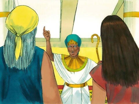 Êxodo 1: 16 O faraó convocou-as e ordenou que se uma mulher hebreia desse à luz um menino elas deveriam matá-lo. Só se o bebê fosse uma menina elas poderiam deixá-la viver. – Slide número 9