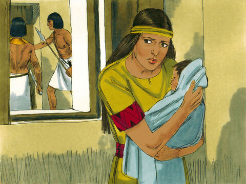 Êxodo 1: 2 Mas, à medida que o bebê crescia, ficou mais difícil mantê-lo escondido. – Slide número 14