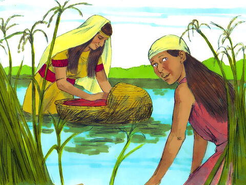 Êxodo 1: 4 Ela escondeu a cesta em juncos altos à beira do rio. Miriam vigiava o bebê à distância. – Slide número 17