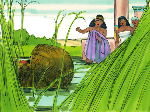 Êxodo 1: 5 Inesperadamente, a filha do faraó desceu ao rio para se banhar. Ela viu a cesta e mandou que uma de suas atendentes fosse buscá-la. – Slide número 18