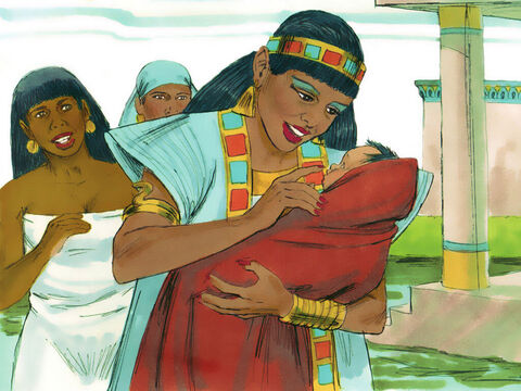 Êxodo 2: 6 Quando ela abriu a cesta e viu que o bebê estava chorando, ela sentiu pena dele. "Este é um dos bebês hebreus", disse ela. – Slide número 19