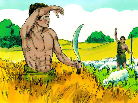 Quando eles cresceram, Caim cultivava o solo enquanto Abel se tornou um pastor de ovelhas. – Slide número 2