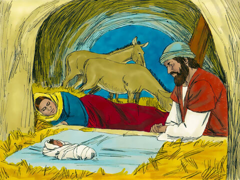 Maria deu à luz Jesus no estábulo de uma pousada e o envolveu em panos e o deitou em uma manjedoura. – Slide número 1