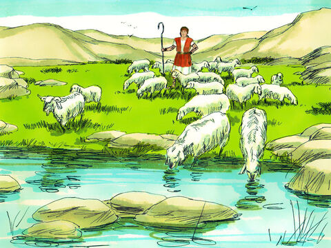 Davi estava de volta a Belém, cuidando das ovelhas de seu pai. – Slide número 5