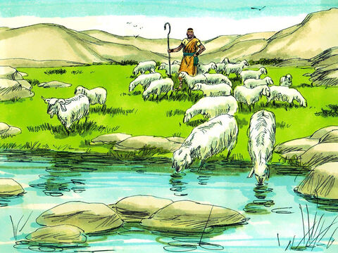 Quando era jovem, Davi cuidou das ovelhas de seu pai. Ele sabia que Deus cuidaria dele dessa forma: "O Senhor é meu pastor, nada me faltará" (Salmo 23). – Slide número 4