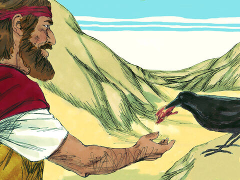 Os corvos, normalmente pássaros egoístas, traziam pão e carne para Elias pela manhã e à noite. Ele bebia água do riacho Querite. – Slide número 10