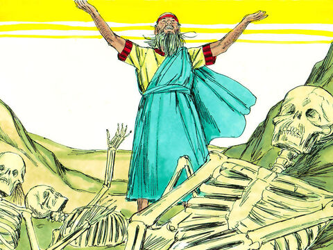 Ezequiel falou como Deus ordenou. Houve um súbito ruído quando os ossos se juntaram, osso por osso, para formar esqueletos. – Slide número 5