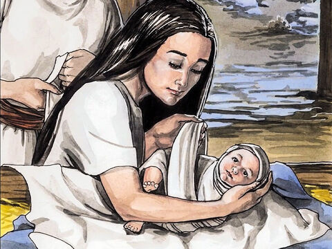 E ela deu à luz a seu filho primogênito, e envolveu-o em panos, e deitou-o numa manjedoura, porque não havia lugar para eles na estalagem. – Slide número 5
