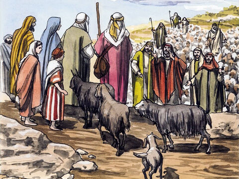 ... e todos os que ouviram se maravilharam do que os pastores lhes diziam. – Slide número 11