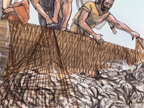 Quando eles fizeram isso, eles pegaram tantos peixes que suas redes começaram a romper. – Slide número 7