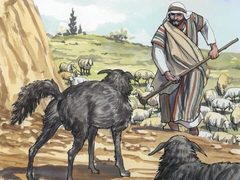 Ao ver as multidões, teve compaixão delas, porque estavam aflitas e desamparadas, como ovelhas sem pastor. – Slide número 4