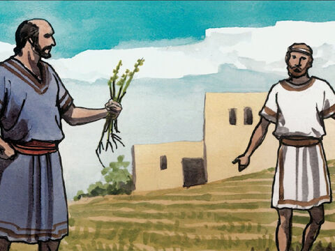 “Os servos do dono do campo dirigiram-se a ele e disseram: ‘O senhor não semeou boa semente em seu campo? Então, de onde veio o joio?’ – Slide número 5