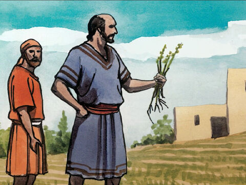 Seus discípulos aproximaram-se dele e pediram: “Explica-nos a parábola do joio no campo”. – Slide número 16