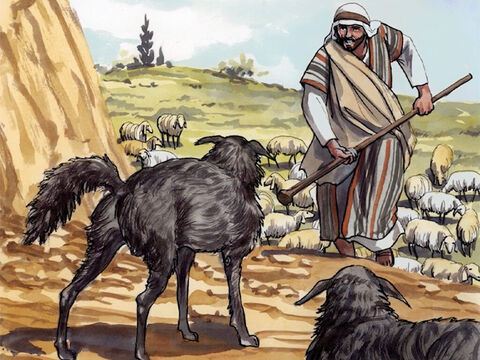 “Eu sou o bom pastor. O bom pastor dá a sua vida pelas ovelhas. – Slide número 9