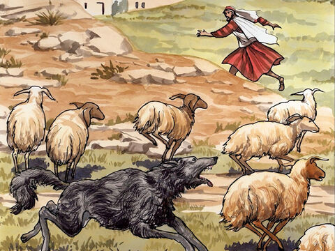 “O assalariado não é o pastor a quem as ovelhas pertencem. Assim, quando vê que o lobo vem, abandona as ovelhas e foge. – Slide número 10