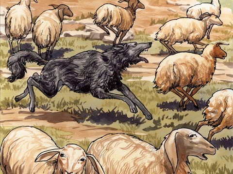 “Então o lobo ataca o rebanho e o dispersa. Ele foge porque é assalariado e não se importa com as ovelhas. – Slide número 11