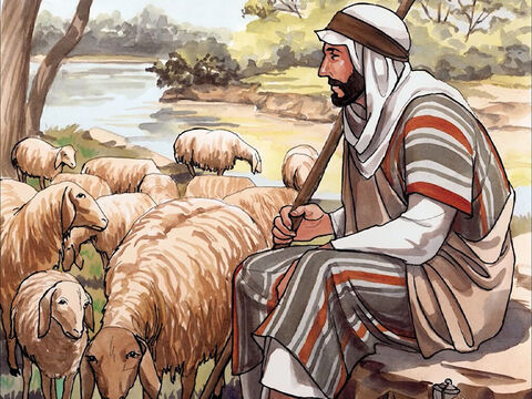 “Eu sou o bom pastor; conheço as minhas ovelhas, e elas me conhecem, assim como o Pai me conhece e eu conheço o Pai; e dou a minha vida pelas ovelhas. – Slide número 12