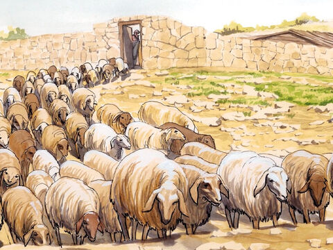 “Tenho outras ovelhas que não são deste aprisco. É necessário que eu as conduza também. Elas ouvirão a minha voz, e haverá um só rebanho e um só pastor. – Slide número 13