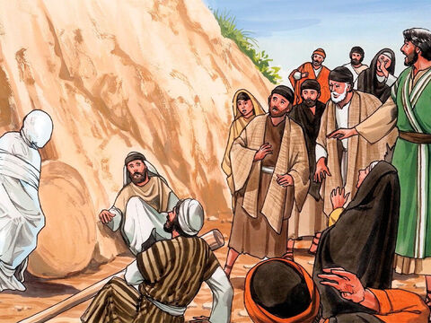 Disse-lhes Jesus: “Tirem as faixas dele e deixem-no ir”.Muitos dos judeus que tinham vindo visitar Maria, vendo o que Jesus fizera, creram nele. – Slide número 13