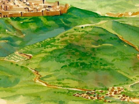 Quando se aproximaram de Jerusalém e chegaram a Betfagé, ao monte das Oliveiras, – Slide número 1