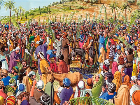 A multidão que ia adiante dele e os que o seguiam gritavam: “Hosana ao Filho de Davi!” “Bendito é o que vem em nome do Senhor! Hosana nas alturas!” – Slide número 7