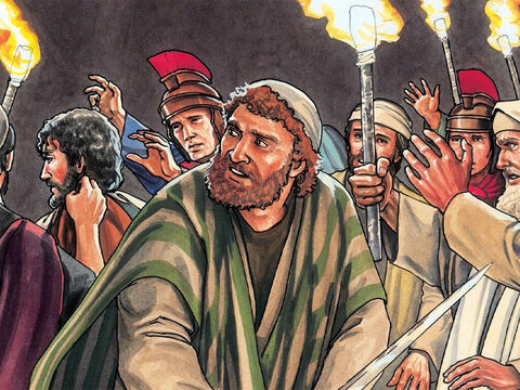 Ao verem o que ia acontecer, os que estavam com Jesus lhe disseram: “Senhor, atacaremos com espadas?” – Slide número 13