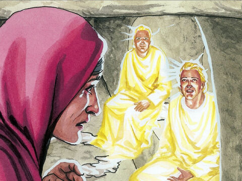 “Levaram embora o meu Senhor”, respondeu ela, “e não sei onde o puseram”. – Slide número 4
