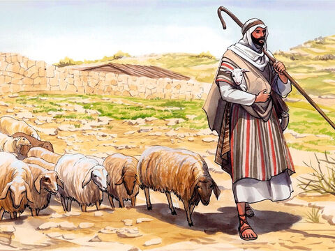 Disse Jesus: “Pastoreie as minhas ovelhas”. – Slide número 14