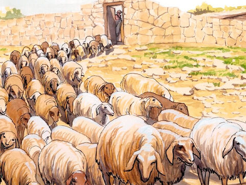 Disse-lhe Jesus: “Cuide das minhas ovelhas. Digo-lhe a verdade: Quando você era mais jovem, vestia-se e ia para onde queria; mas quando for velho, estenderá as mãos e outra pessoa o vestirá e o levará para onde você não deseja ir”. – Slide número 16