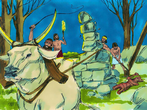 Com a ajuda de 10 servos, Gideão pegou um dos touros de seu pai e derrubou o ídolo de Baal de seu pai. Eles cortaram o bosque que sua família usava para adorar o ídolo Aserá. – Slide número 9