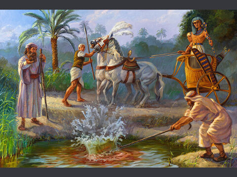A primeira praga: água transformada em sangue. “Moisés e Arão fizeram como o Senhor tinha ordenado. Arão levantou a vara e feriu as águas do Nilo na presença do faraó e dos seus conselheiros; e toda a água do rio transformou-se em sangue.” (Êxodo 7:20) Texto completo: Êxodo 7:14–23 – Slide número 3