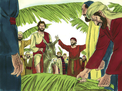 Muitas pessoas espalharam suas capas ou ramos de palmeira no chão para Jesus cavalgar, enquanto outras agitavam folhas de palmeira. – Slide número 7
