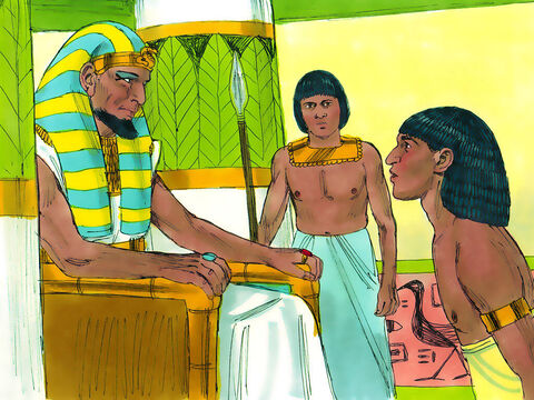 O faraó disse a José: “Diga a seus irmãos para voltarem correndo para a terra de Canaã e buscarem seu pai e suas famílias. Eu lhes darei a melhor terra do Egito, e eles comerão do melhor que a terra produz. Envie carroças para trazê-lo aqui”. – Slide número 18