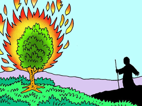De repente, Moisés viu algo muito estranho a distância. Uma sarça verde estava pegando fogo, mas ela não queimava! – Slide número 4