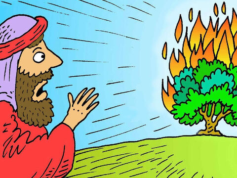 Moisés estava cuidando de suas ovelhas, certo dia, quando ele viu fogo em um arbusto. Mas o arbusto não se queimava, então ele foi olhar de perto, e Deus falou com ele do meio do arbusto. – Slide número 1