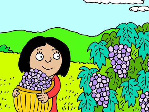 Ela trabalha sob o sol forte, cuidando das uvas; podando e colhendo-as, para fazer seus sonhos para o futuro se realizarem. – Slide número 7