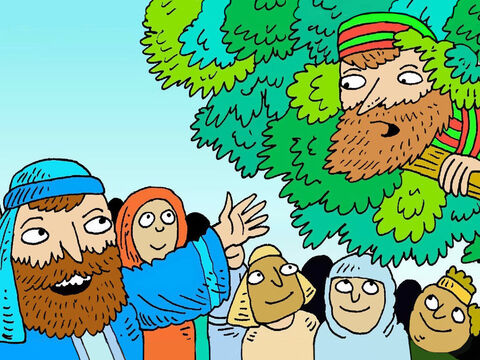 Jesus parou debaixo da árvore e olhou para cima: <br/>– Zaqueu desça, rápido – disse Jesus. – Vou para sua casa hoje. – Slide número 5