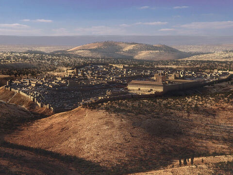 Um dia, Jesus e Seus discípulos viajaram para o Monte das Oliveiras, nos arredores de Jerusalém. – Slide número 8