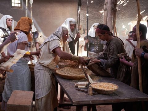 Quando a fome havia se espalhado por toda a terra do Egito, José abriu todos os armazéns e vendeu os grãos aos egípcios. E os povos de outras regiões vieram comprar os grãos de José, porque a fome era severa em todos os lugares. – Slide número 2