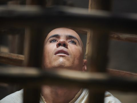 Então o chefe dos copeiros contou o seu sonho a José: <br/>– No meu sonho, vi uma videira diante de mim. Na videira havia três ramos. Quando ela brotou, suas flores se abriram e seus cachos amadureceram em uvas. Ora, a taça do Faraó estava na minha mão; então, peguei as uvas, espremi-as na taça dele e coloquei a taça na mão do Faraó. – Slide número 7