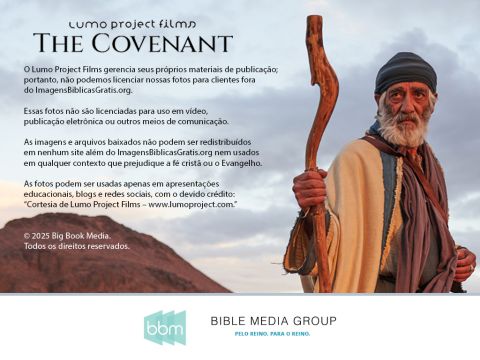 Slide número 16
