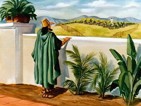 Ali perto de seu jardim, do lado de fora da muralha, havia um belo vinhedo. As parreiras estavam carregadas de frutos, e o rei viu que a terra era boa. – Slide número 4