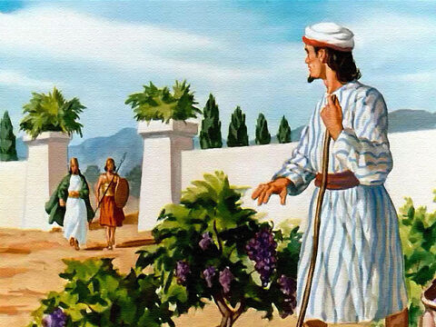 Muito animado com sua nova descoberta, o rei Acabe foi ver o proprietário do vinhedo – um  homem chamado Nabote. – Slide número 6