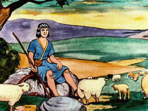 Davi era um jovem pastor e boa parte de sua infância foi passada nos campos, cuidando das ovelhas de seu pai. – Slide número 5