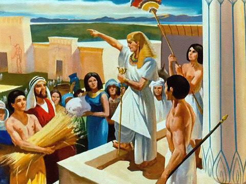 Durante sete anos de colheitas fartas, José guardou comida em grandes armazéns, pois o Senhor lhe disse que a fome viria. – Slide número 33