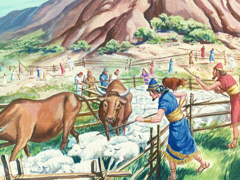 Primeiramente, eles fizeram cercas para o gado, pois Deus havia avisado que até os animais morreriam se eles tocassem o Monte Santo. – Slide número 12