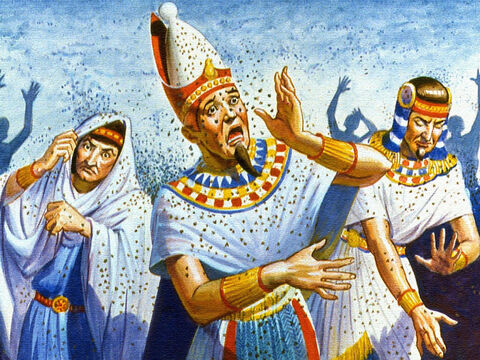 Em outra ocasião, foram enviadas milhares de moscas para atormentar os egípcios, e, mesmo assim, o rei não cedia. No entanto, Deus continua tratando com o Faraó para que ele deixasse Seu povo ir. – Slide número 8