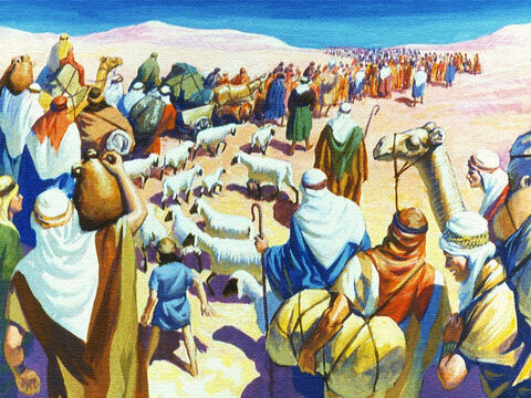 Que visão eles eram! Toda uma nação de pessoas, centenas de milhares delas espalhadas pelo deserto com seu gado e seus pertences. – Slide número 13